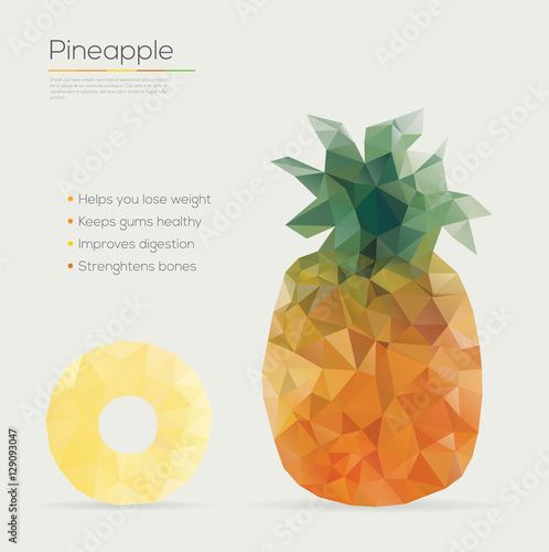 Vector illustration of a pineapple geometric style


