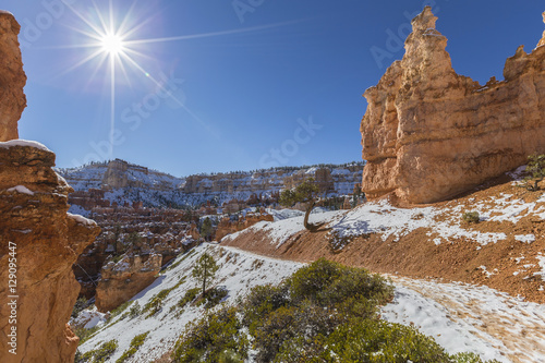 Snowy Hoodoo Path at Bryce ...