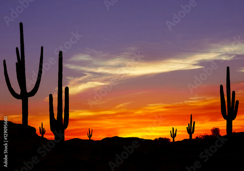 Wild West Sunset with Cactus Silhouette