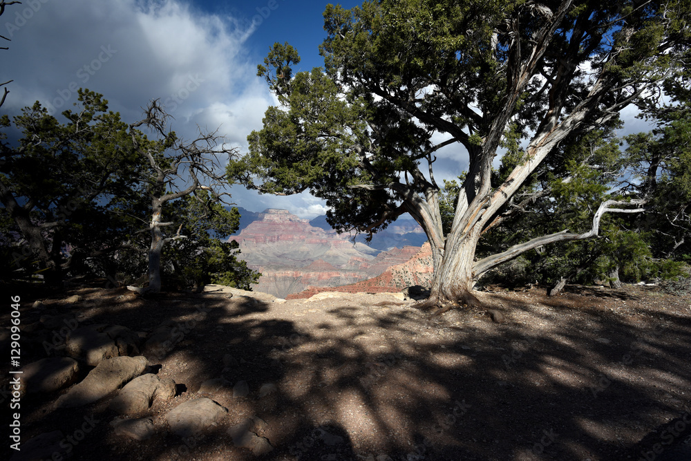 Obraz premium Grand Canyon National Park, Arizona, USA