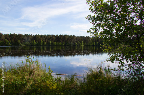 Fototapeta Naklejka Na Ścianę i Meble -  beautiful landscape, lake of the woods