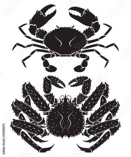 Alaskan king crab. Vector Illustrations.