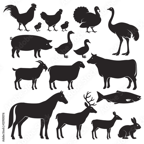 Fototapeta Naklejka Na Ścianę i Meble -  Farm animals silhouette icons. Vector illustrations