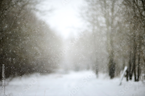 The falling snow Christmas background. bokeh © maximgurtovoy