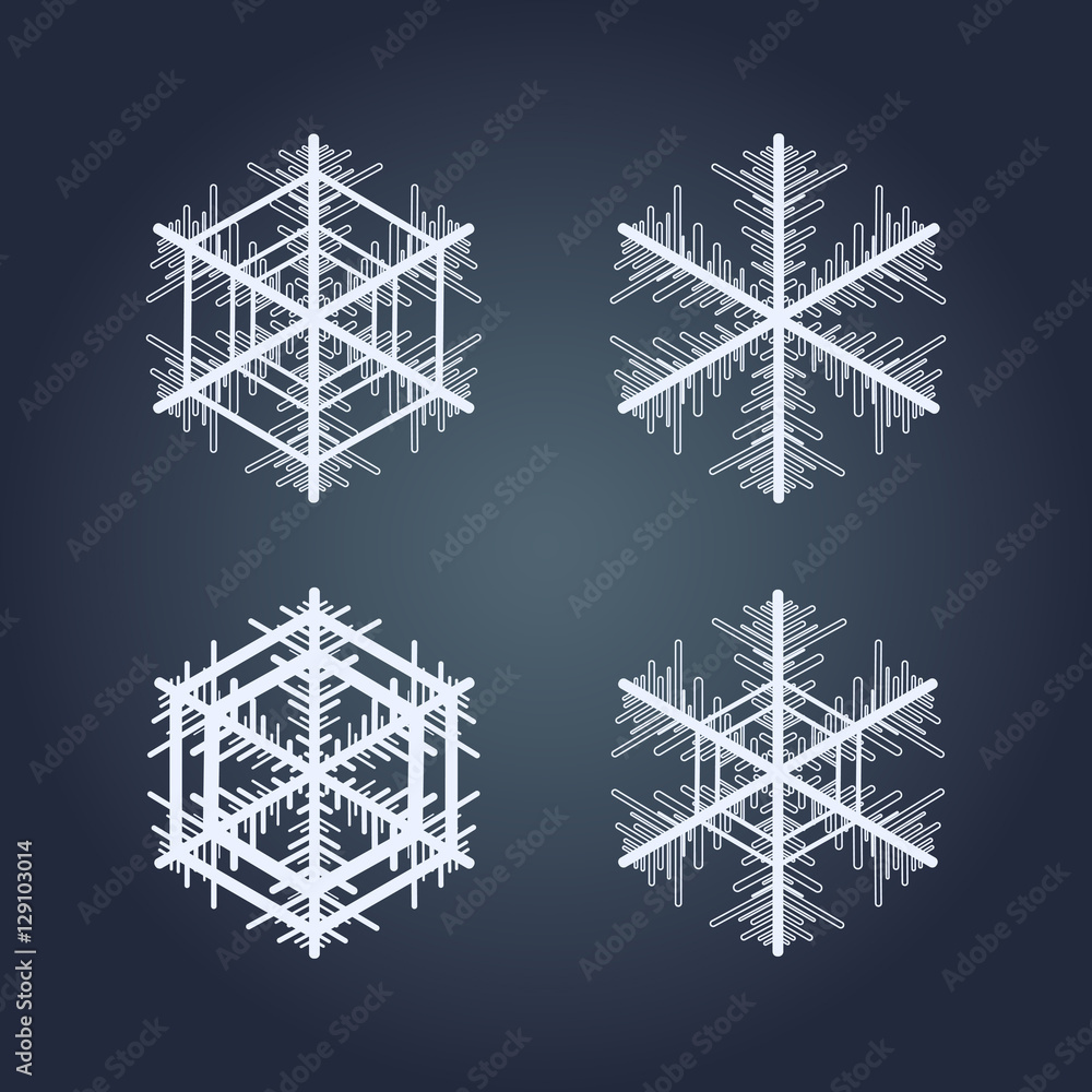 Collection of snowflakes. Winter decorative element.