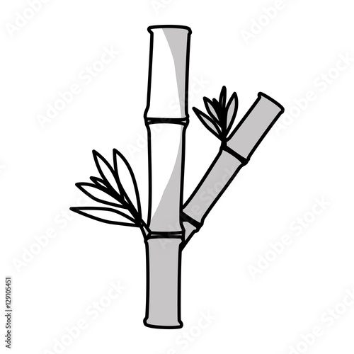 bamboo trunk with leaves icon over white background. natural spa center design. vector illustration
