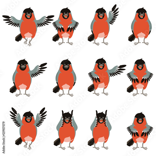 Set of bullfinches flat icons