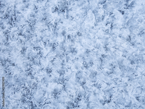 frost patterns on ice.