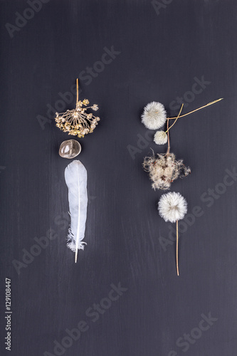 board feather seeds black blowball
