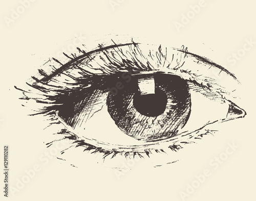 Vintage illustration of an eye hand drawn, sketch