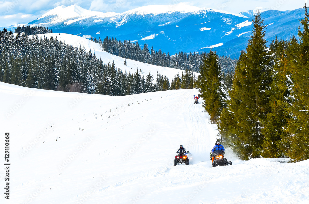 in the woods on snowmobiles