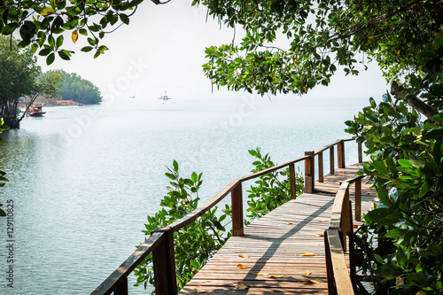 Thung Kha Bay Mangrove Forest. Wooden walkway. Chumphon, Thailand photo