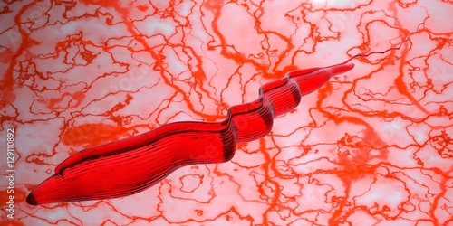 Schilderij op canvas Trypanosoma brucei parasite that causes nagana disease llustration