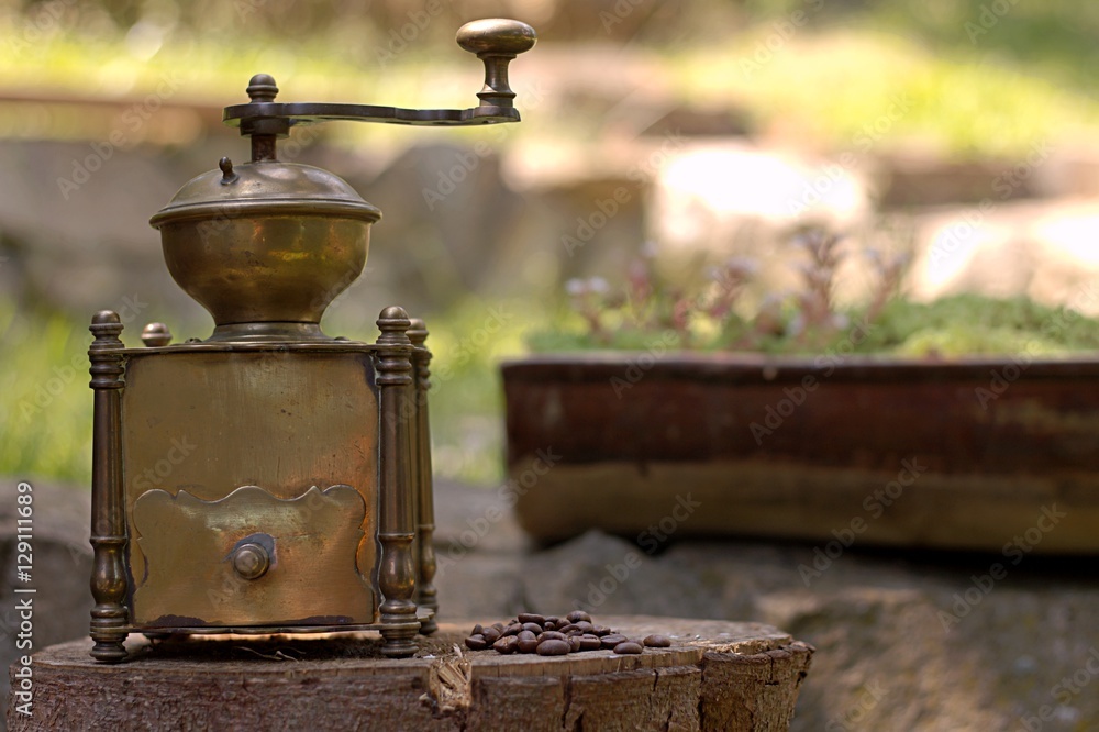 old brass coffee grinder in the garden