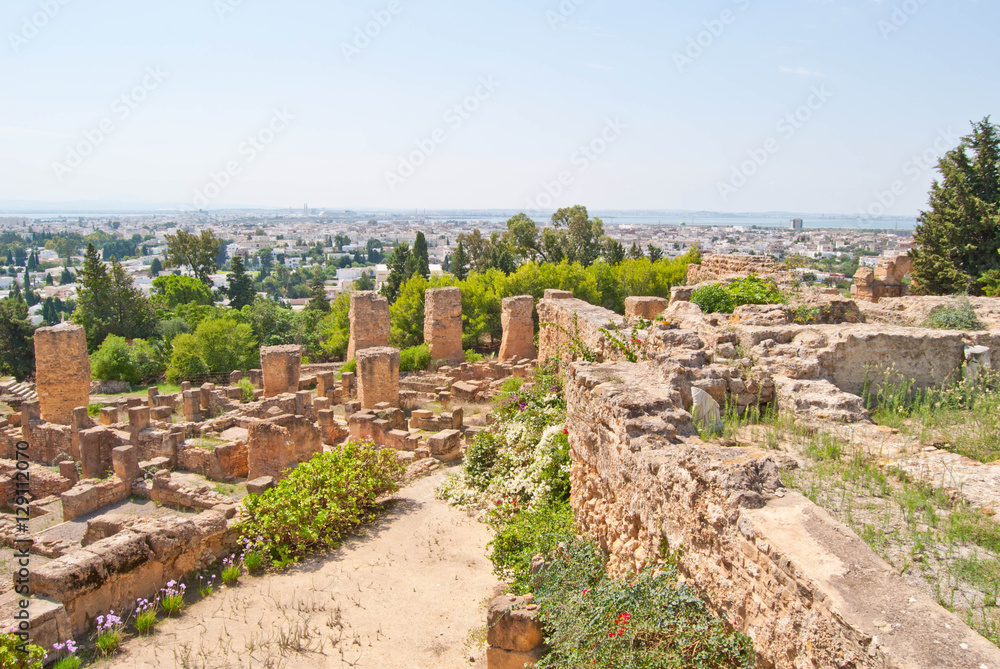 Carthage ancient ruins view at Tunisia Africa  