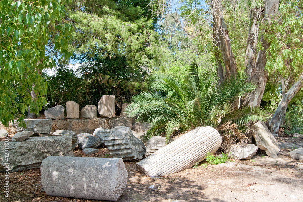 Antique columns debris at Carthage Tunis