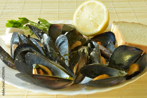 mussels 