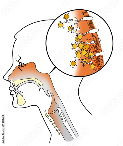 The structure of the nasal influenza virus, The structure of the nasal influenza virus in a cut on a white background