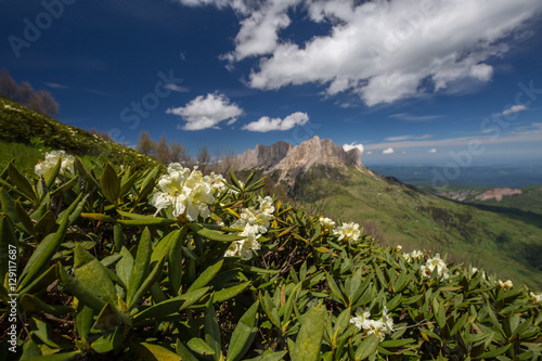 Russia, timelapse. The formation and movement of clouds over the summer slopes of Adygea Bolshoy Thach and the Caucasus Mountains