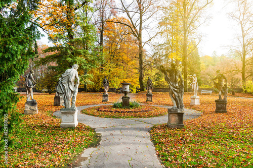 Beautiful romantic alley in a park with colorful trees and sunlight. autumn natural background photo