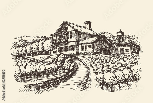 Farm landscape. Hand-drawn vineyard or agriculture. Vintage sketch vector illustration