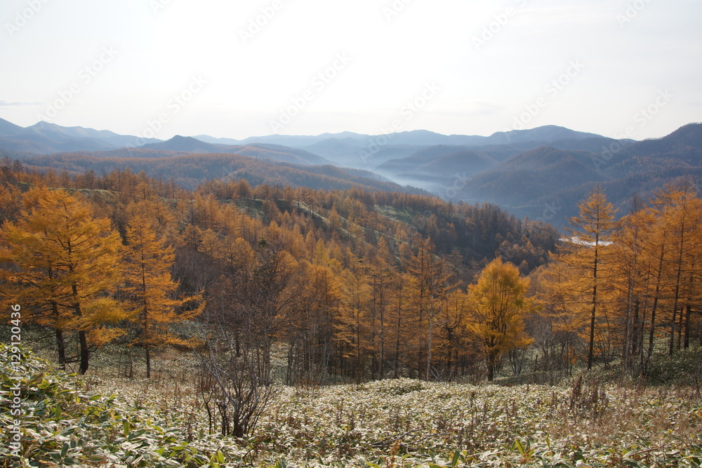 Сахалинская осень