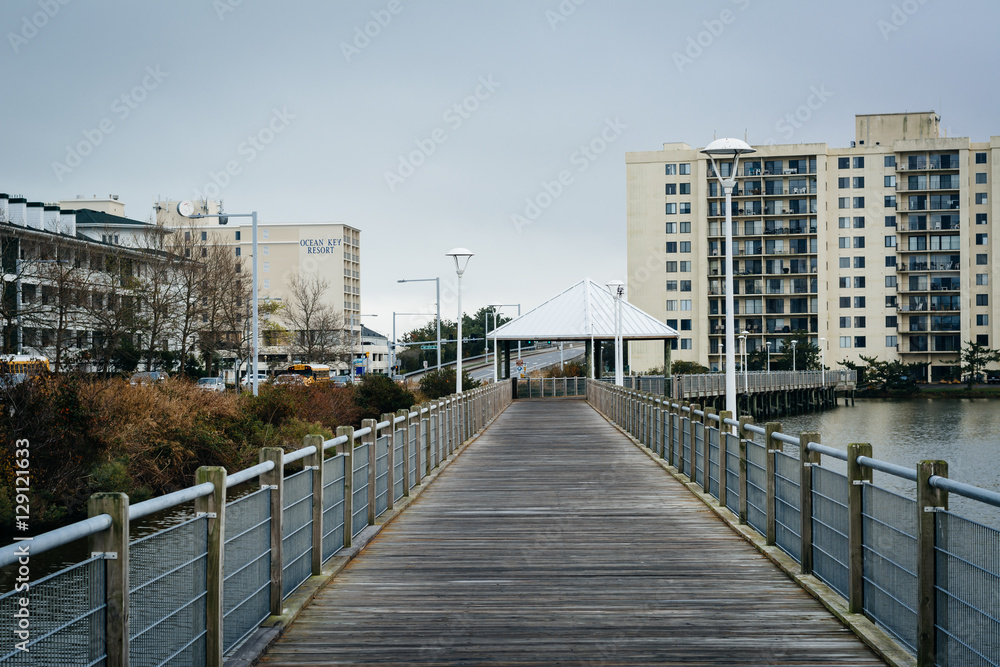 Fototapeta premium Boardwalk over Lake Holly, in Virginia Beach, Virginia.