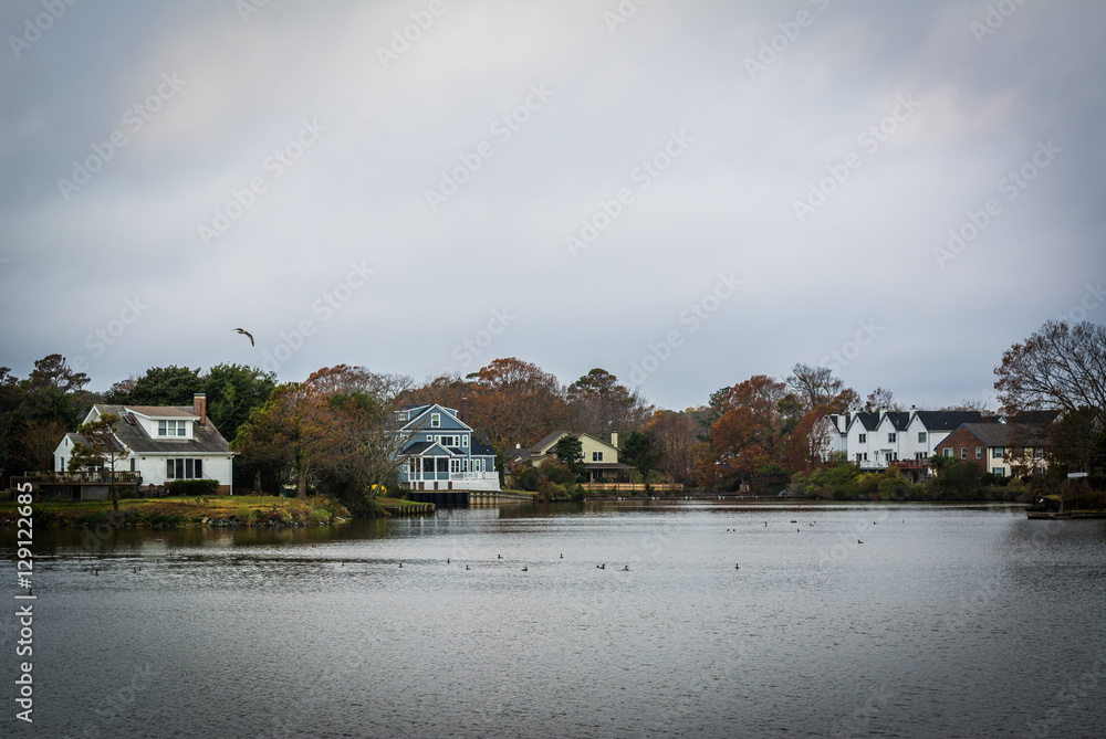 Houses along the shore of Lake Holly, in Virginia Beach, Virgini Houses along the shore of Lake Holly, in Virginia Beach, Virgini