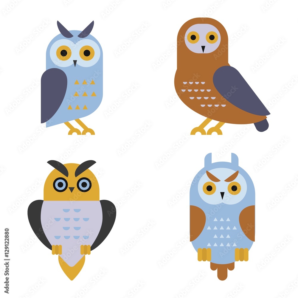 Fototapeta premium Owl wild bird cartoon vector.