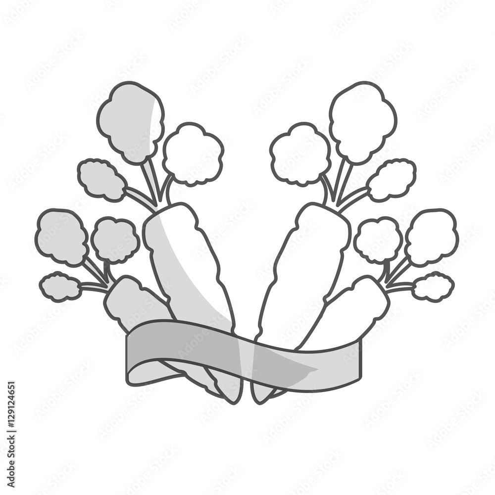 carrot vegetable with ribbon over white background. black and white design. vector illustration carrot vegetable with ribbon over white background. black and white design. vector illustration