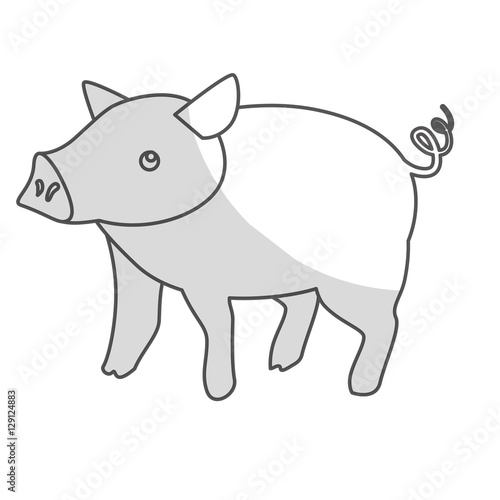 pig icon. farm animals design. vector illustration