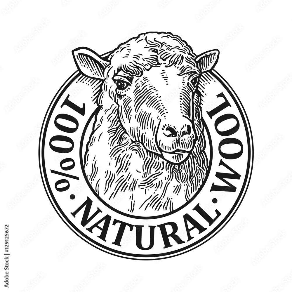 Naklejka premium Głowa owiec. 100% napis z naturalnej wełny. Vintage wektor Grawerowanie ilustracja