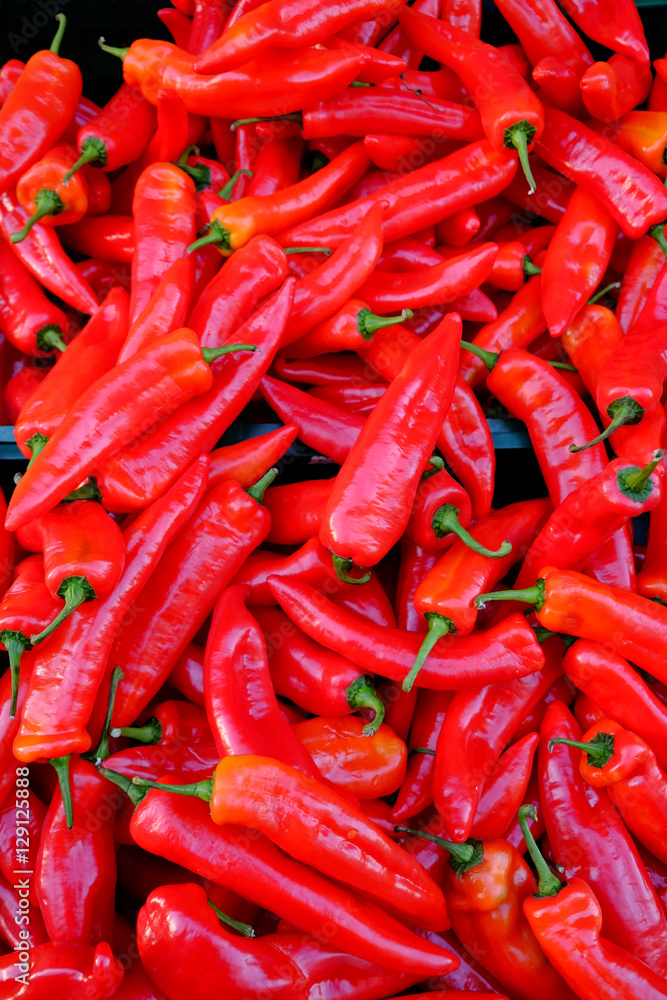 Many sweet red peppers paprika.