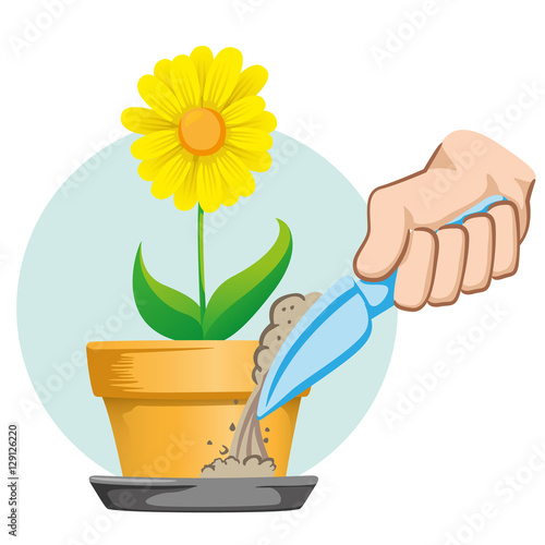 Hand putting sand in the bowl of the pot to fight, Aedes Aegypti mosquito, stilt, dengue. Ideal for informational and institutional related sanitation and care