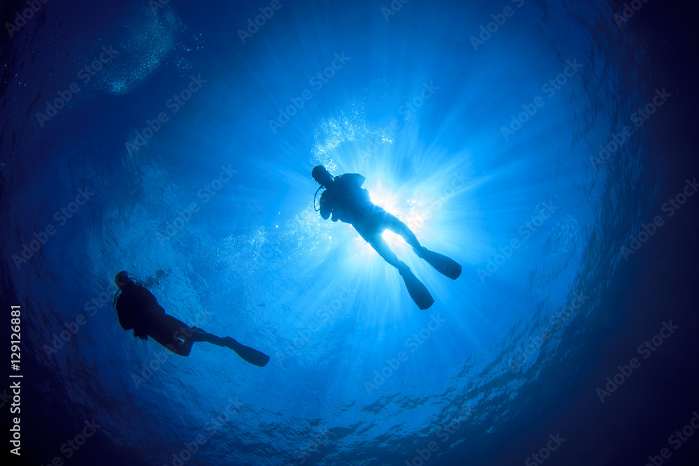 Scuba divers diving