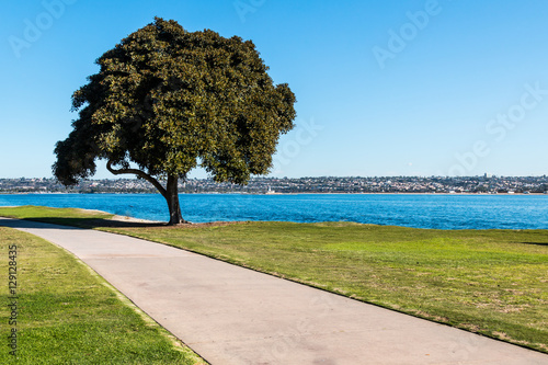 Pathway through Ski Beach Park on Mission Bay in San Diego, California. 