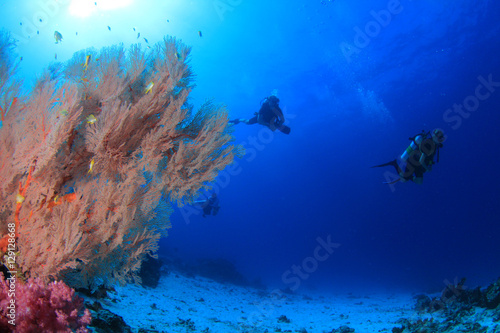 Fototapeta Naklejka Na Ścianę i Meble -  Fish,coral reef,scuba diving underwater