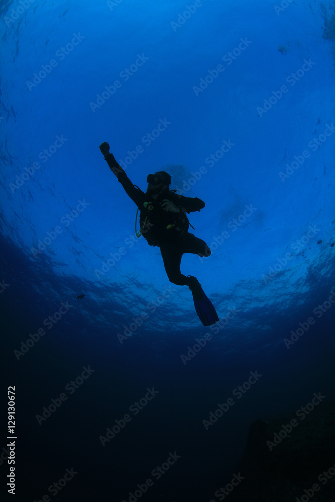 Scuba divers diving Scuba divers diving