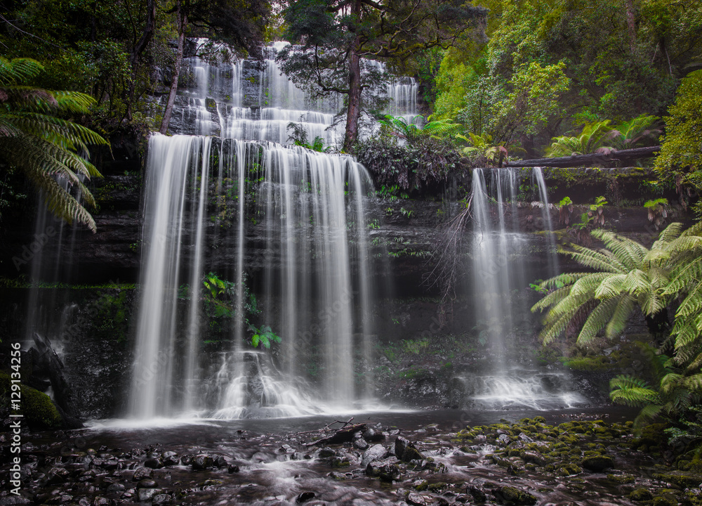 Russell Falls - Mt Field National Park - Tasmania, Australia Russell Falls - Mt Field National Park - Tasmania, Australia