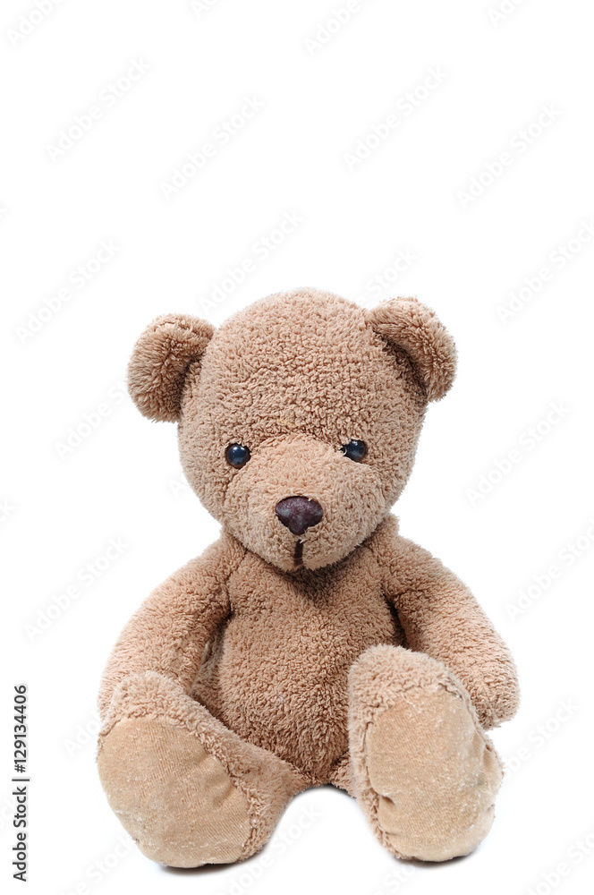 Brown teddy bear sit on white background.