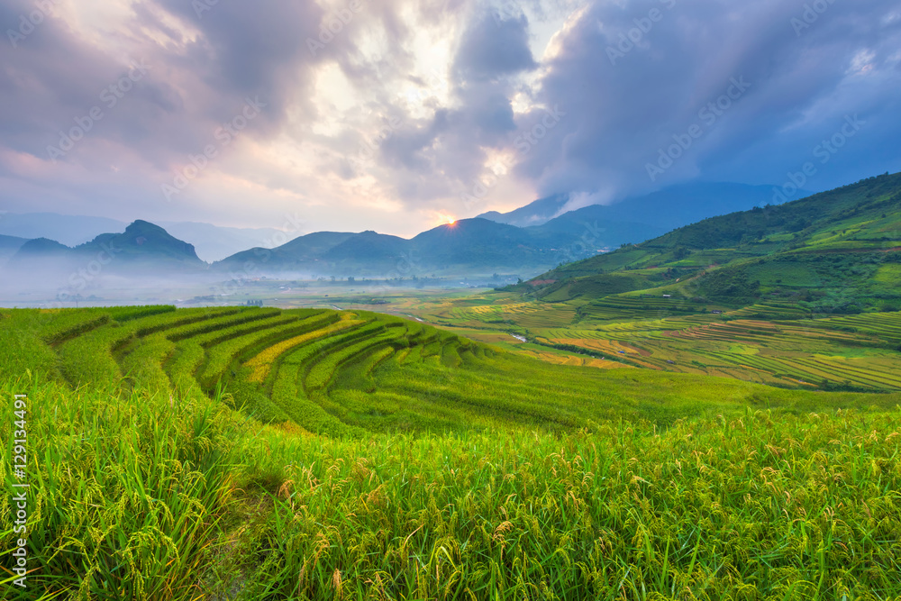 The Beauty of nature rice terrace from Vietnam Landscape