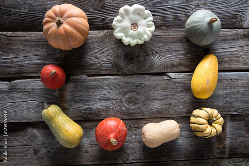 seasonal frame of pumpkins, squashes and gourds for vegetarian menu