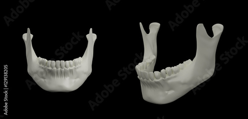 3d rendering illustration of jaw bone photo