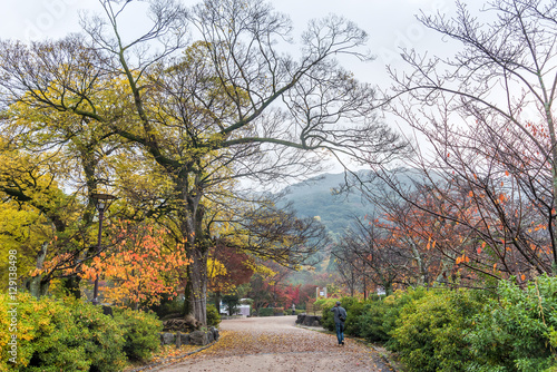 Public park when autumn is coming in Kyoto  Japan.