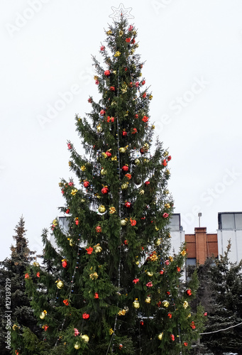Christmas tree with garland and a star near the shopping center