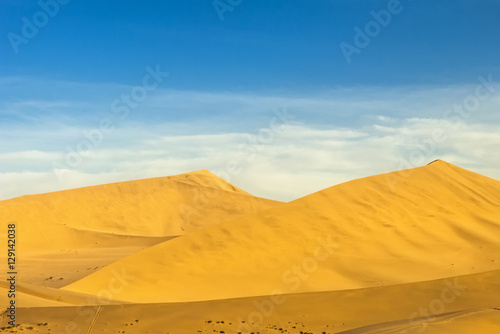 Desert landscape. Gobi  china.