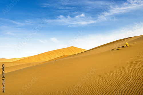 Desert landscape. Gobi  china.