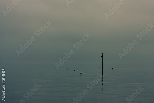 Ducks gathering around a signpost in the water