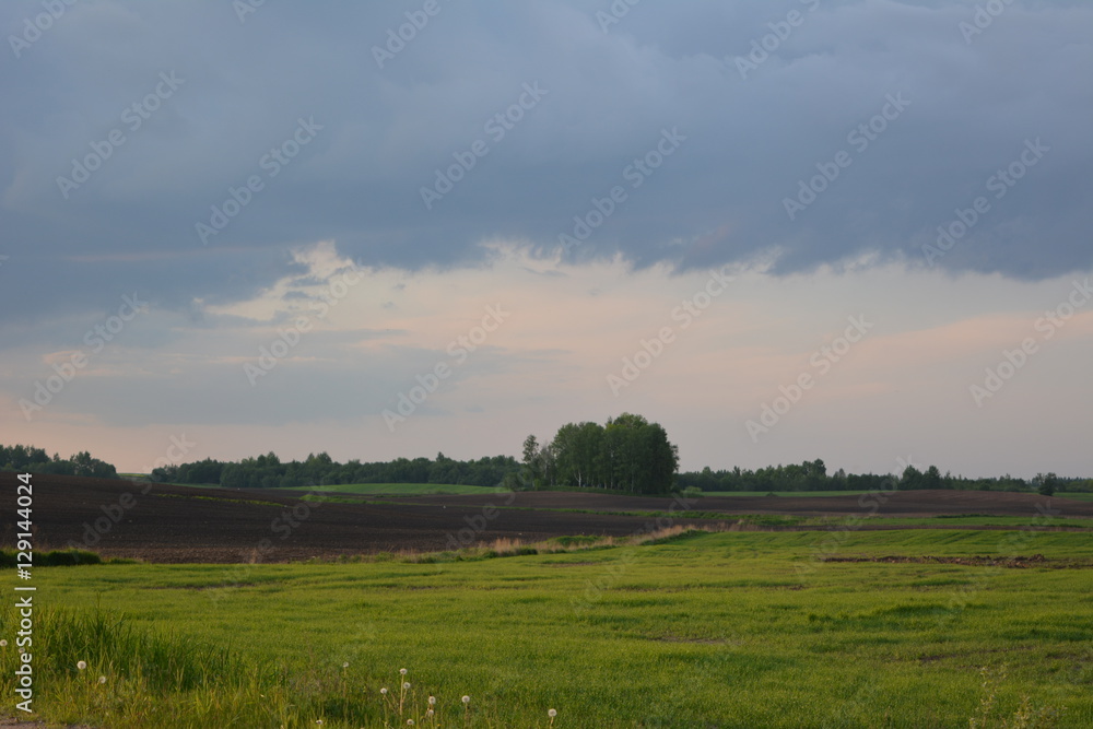 beautiful countryside: a plowed field and grains on a background of dark sky