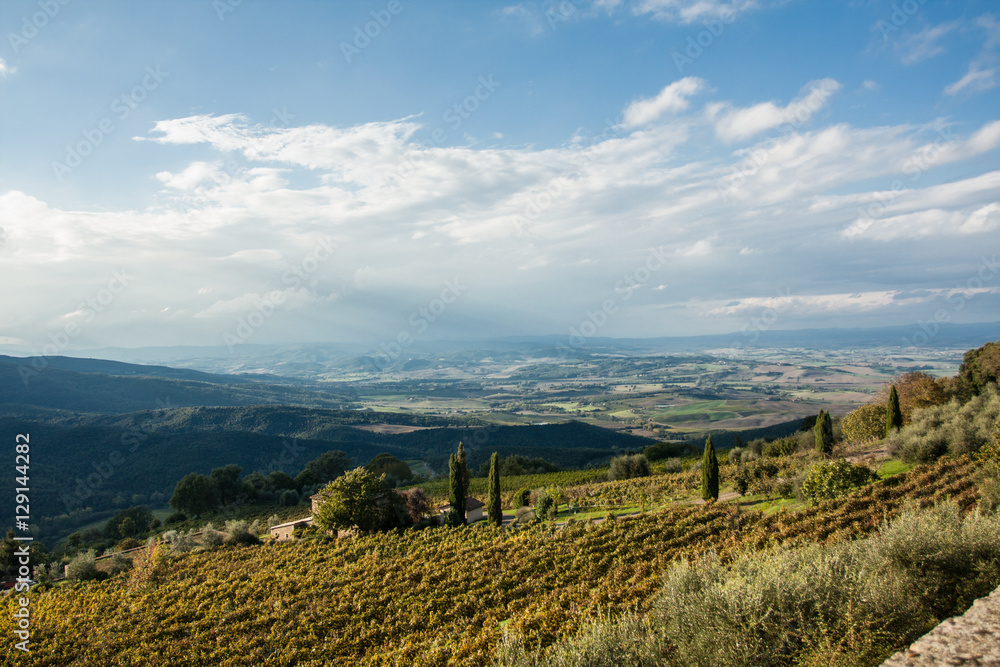 Montalcino panorama